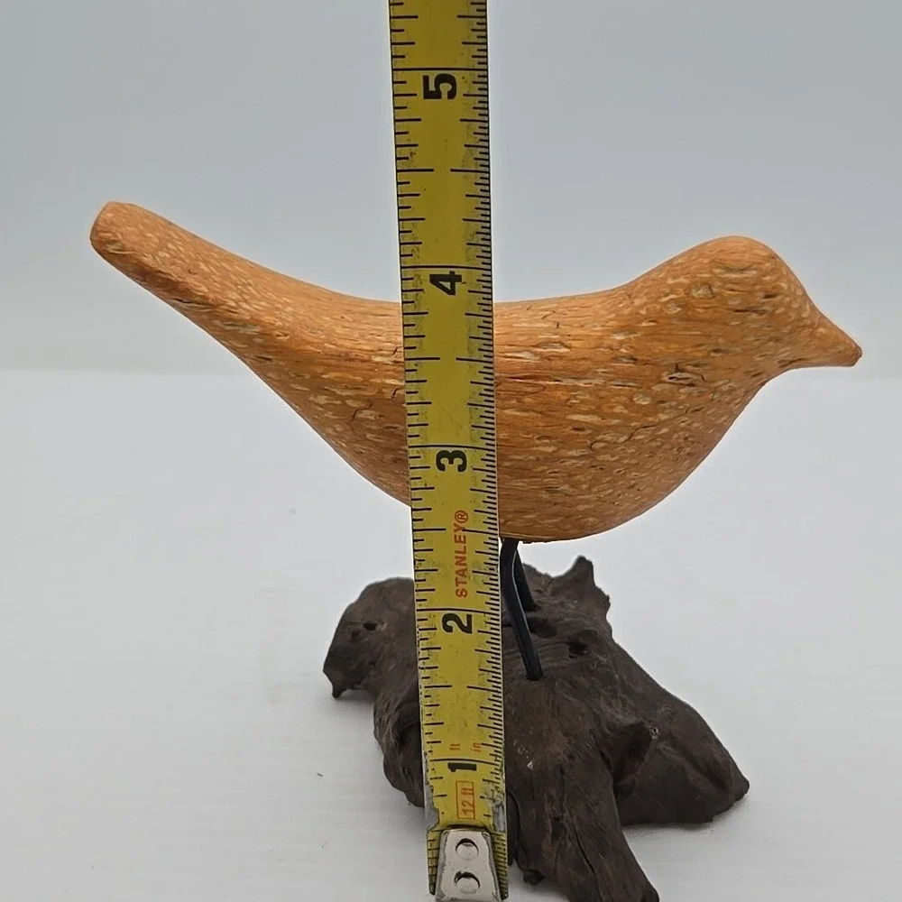 Seaside Wooden BIRD‎ With Steel Feet On Driftwood 4